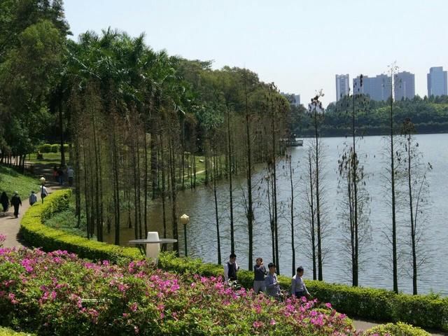 粤E粤X粤Y,竟然都是佛山市的车牌,外地人疑惑