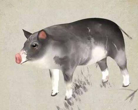 麦玲玲2018十二生肖运程完整版!提前开运必睇