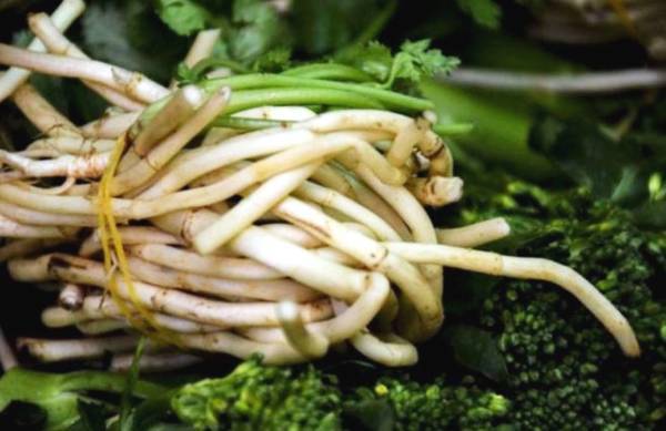 仁怀有多少人口_酒都仁怀图片(3)