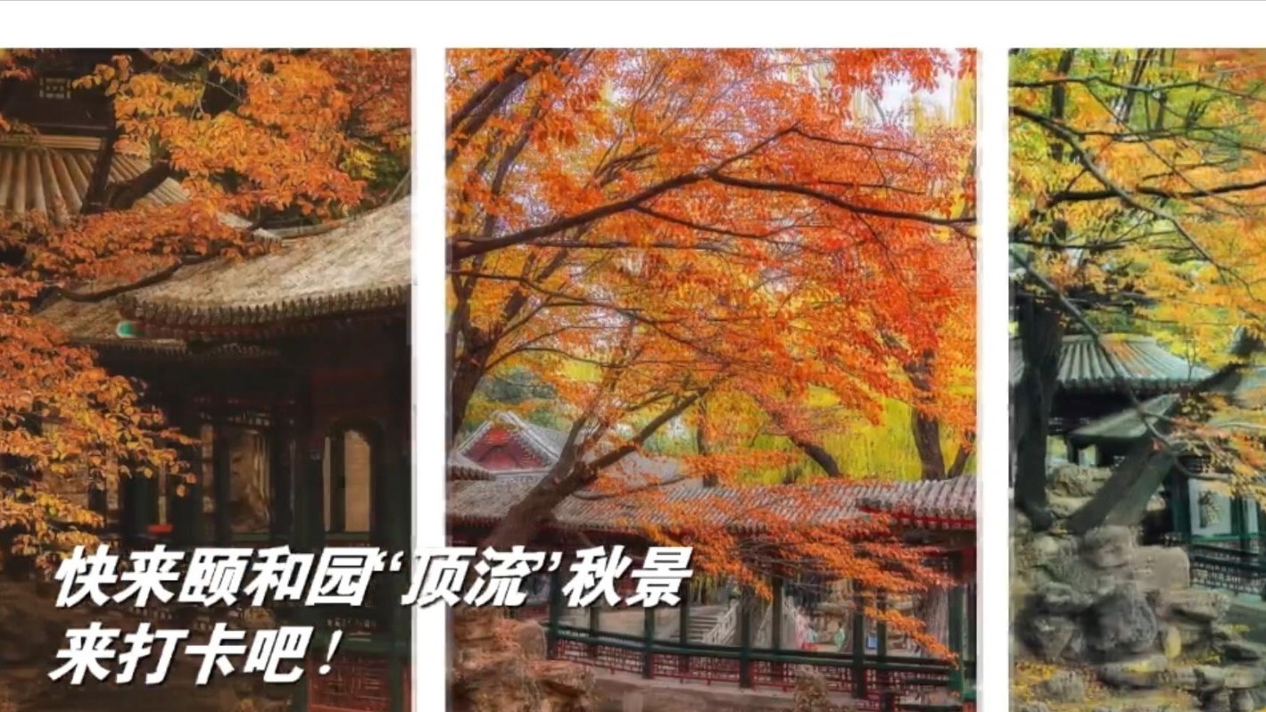 谁是颐和园“顶流”秋景背后的造景师？