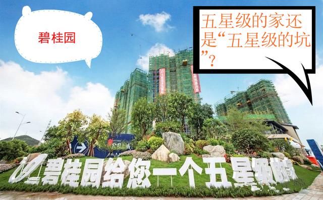 潘石屹评碧桂园坍塌:五星级的家变成五星级的