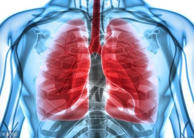 肺癌的早期征兆主要是什么?高危人群要格外注
