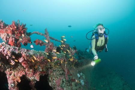 全球首个人造鱼鳃问世,潜水告别氧气瓶,像鱼