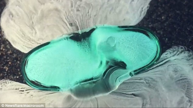 第一种被测试的药物是Advil，这是一种镇痛类药物。视频中可以清晰目睹药丸的外部壳体溶解破裂，其内部的白色化学物质喷涌而出的画面。