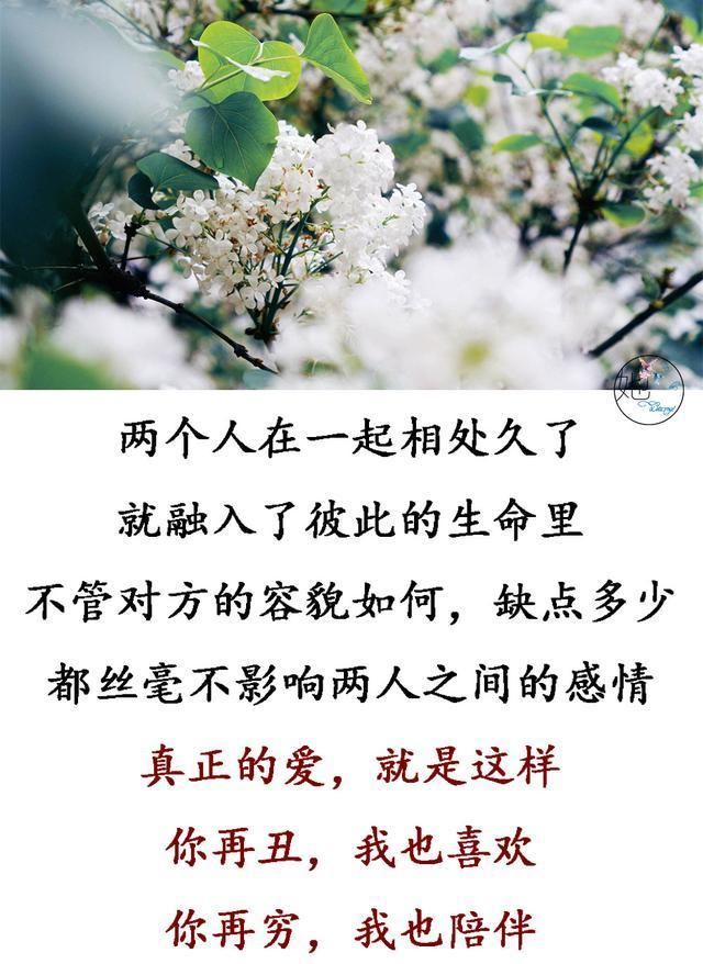 什么样的夫妻才会变,不会散,所有夫妻都看看,说的太好了!