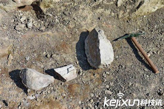 震惊世界:古生物学家发现白垩纪恐龙化石群 震惊世界:古生物学家发现白垩纪恐龙化石群
