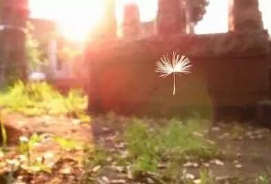 励志的说说加图片,朋友圈正能量句子带图