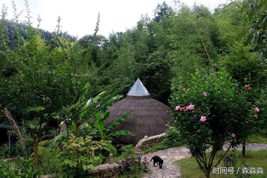 临安僻地寒楼 望月听风揽静 成就了都市人的乡