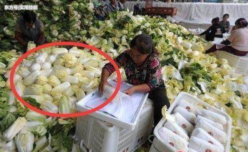 市场买菜时长点心,这几种蔬菜再便宜也别乱买