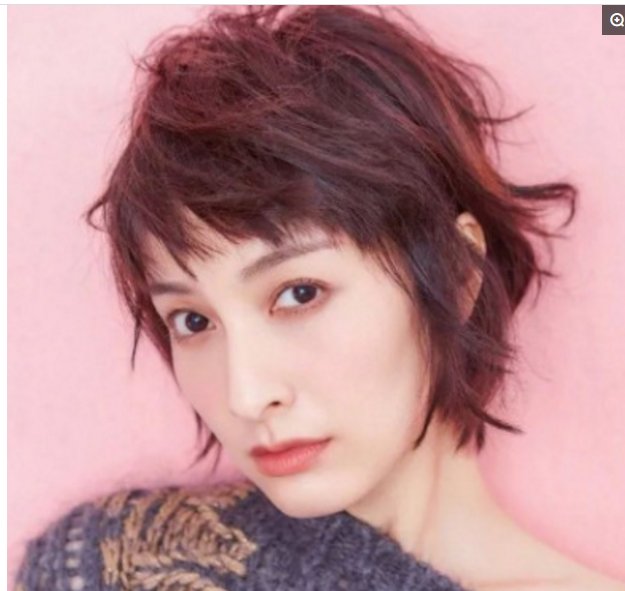 董卿的学历,谢娜的学历,吴昕的学历,李湘的学历