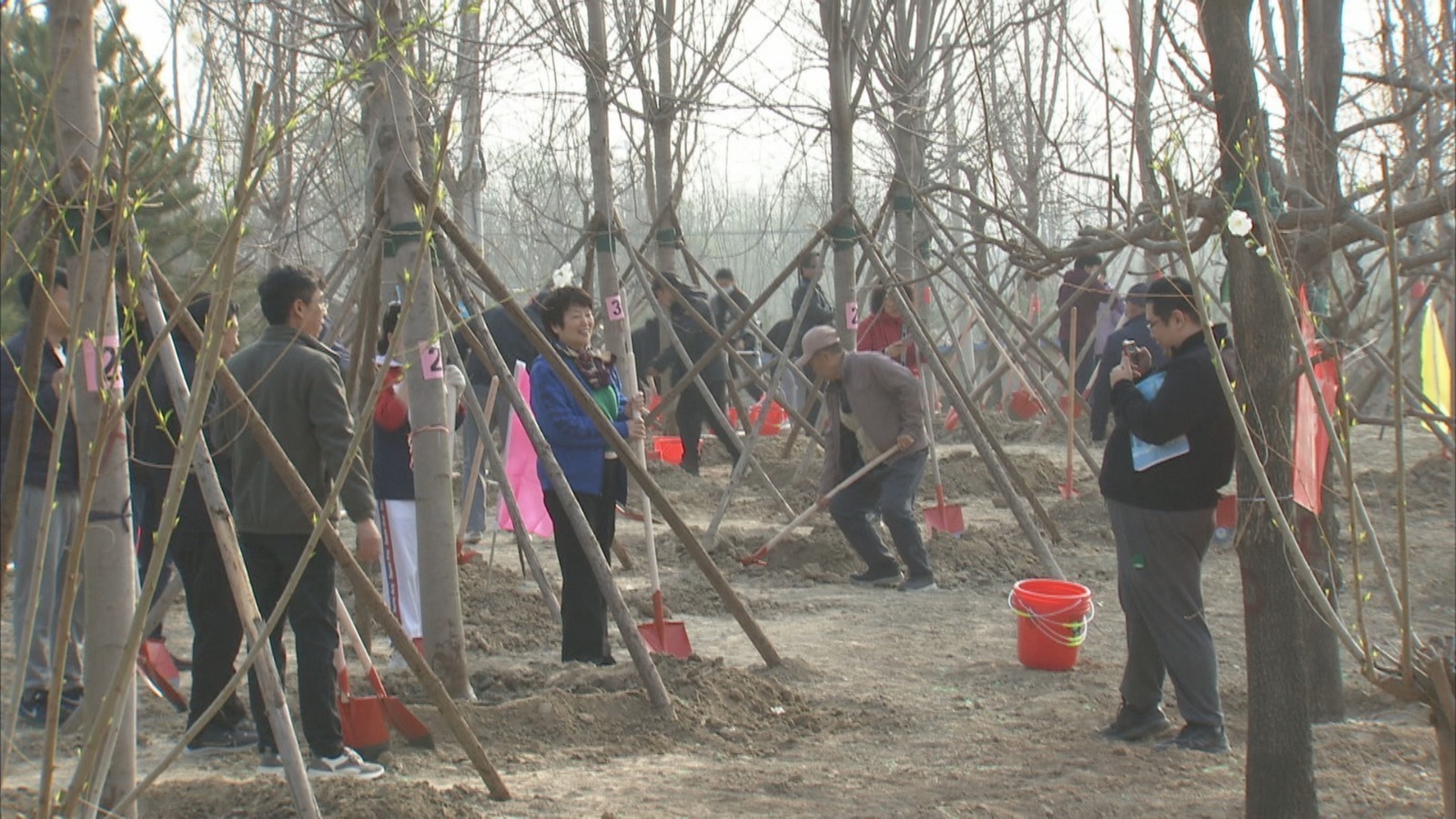 义务植树日:军民共建“双拥林”_北京时间
