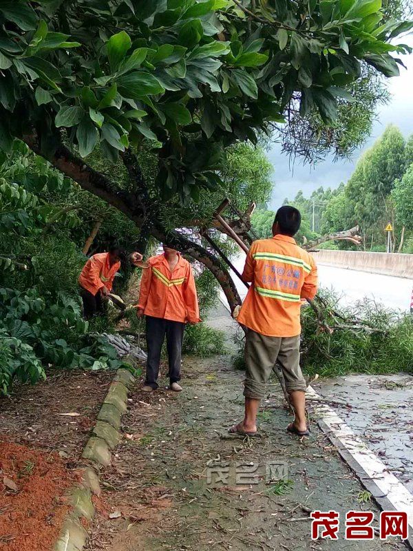 化州公路职工及时清理台风垃圾