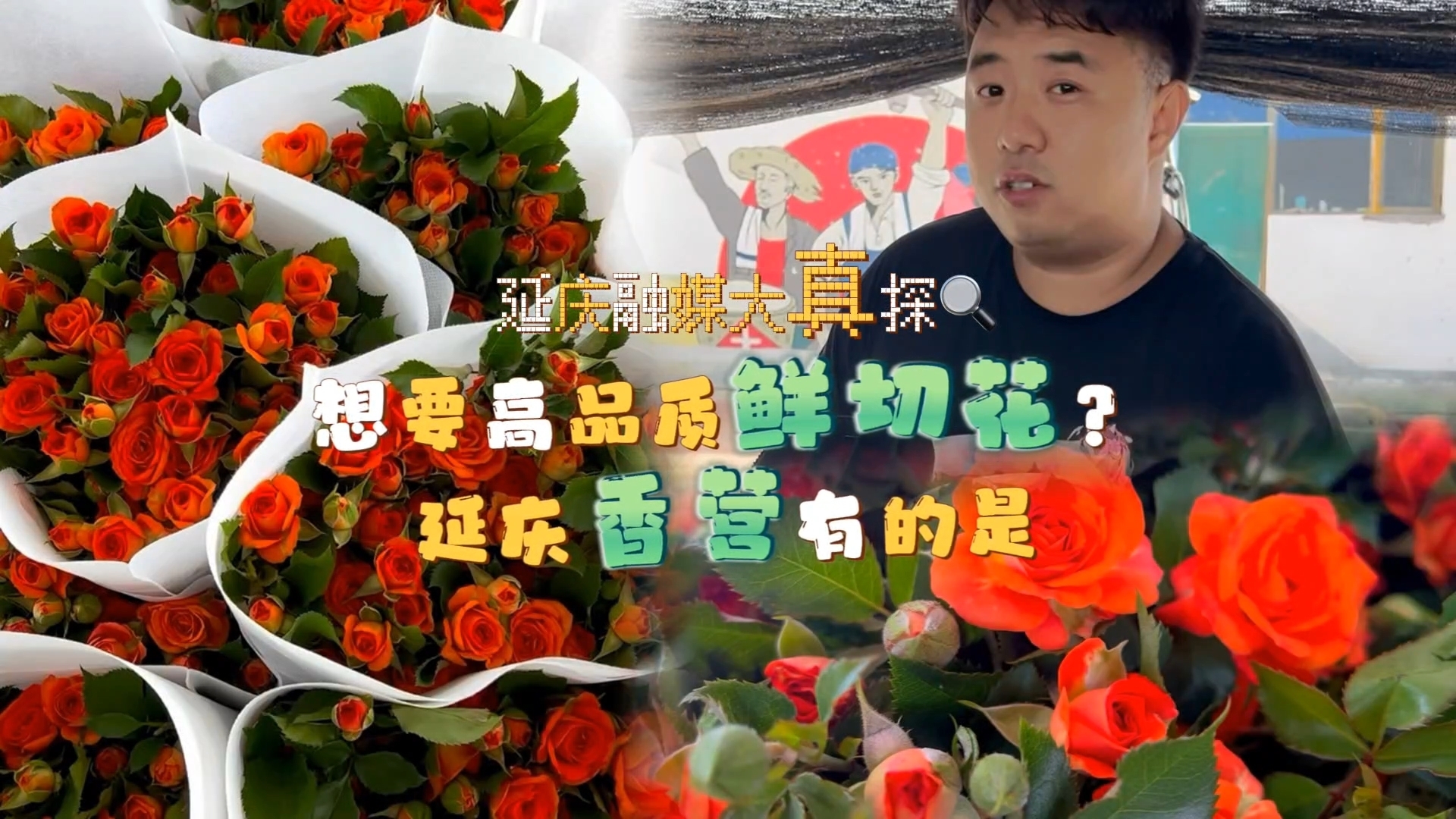 想要高品质鲜切花？延庆香营有的是！价格实惠到不敢想～