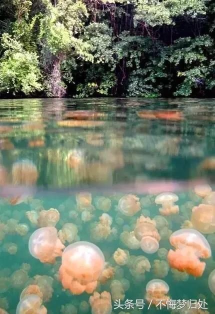 为什么要旅行?土耳其?东京巴黎,哪个地方是必