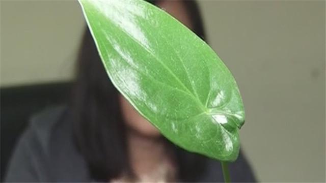 遭遇“野蛮”中介 房子落入别人手 遭遇“野蛮”中介 房子落入别人手