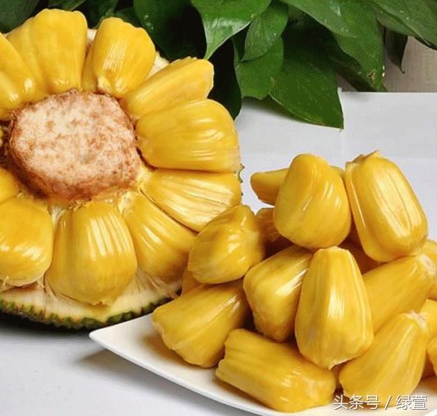 世界上最重的水果菠萝蜜有减肥作用,为什么又