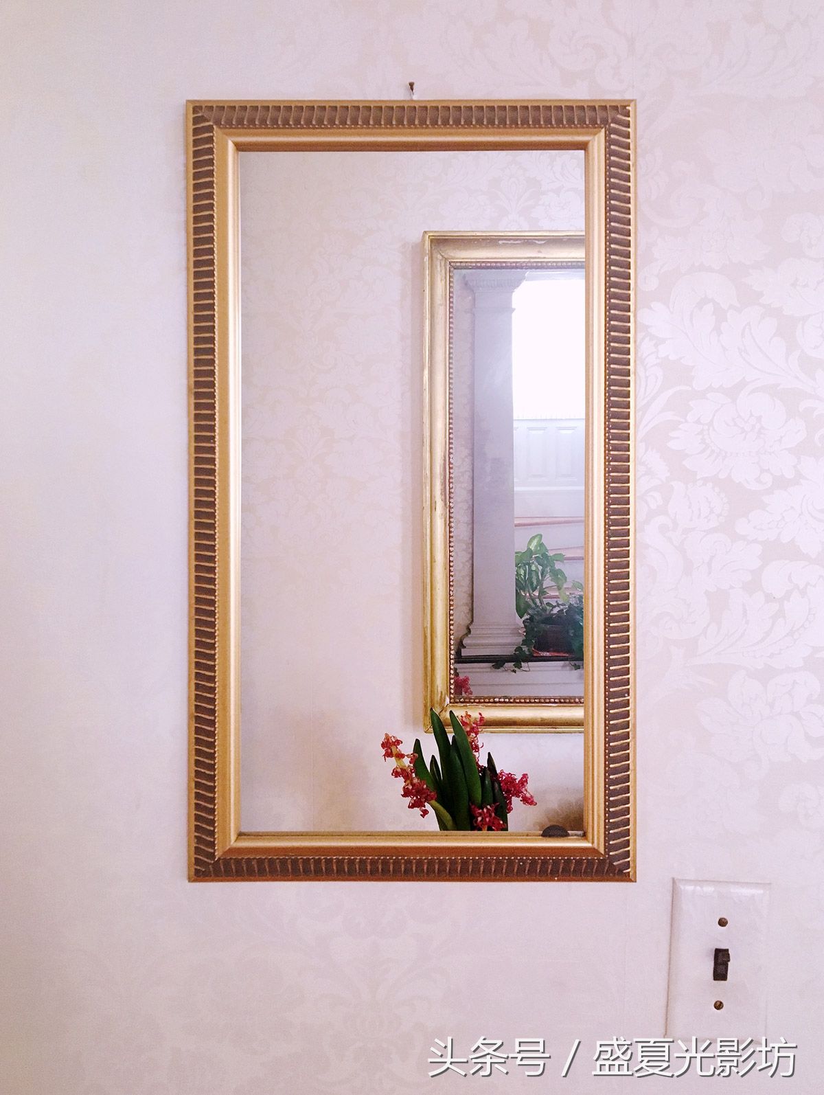 诡异的摄影作品错误的镜子,你肯定也看出哪里