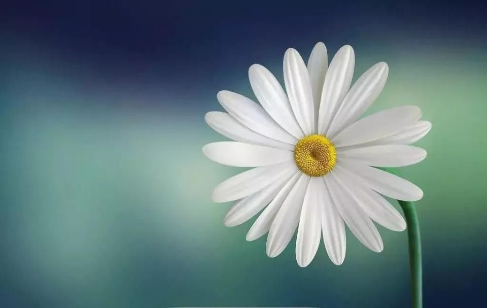 10万存银行还是余额宝?答案是…