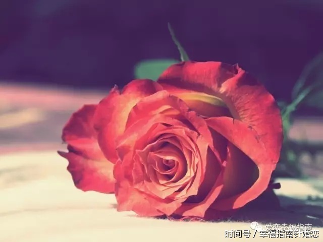 婆媳关系:婆是客 媳才是家庭的主人