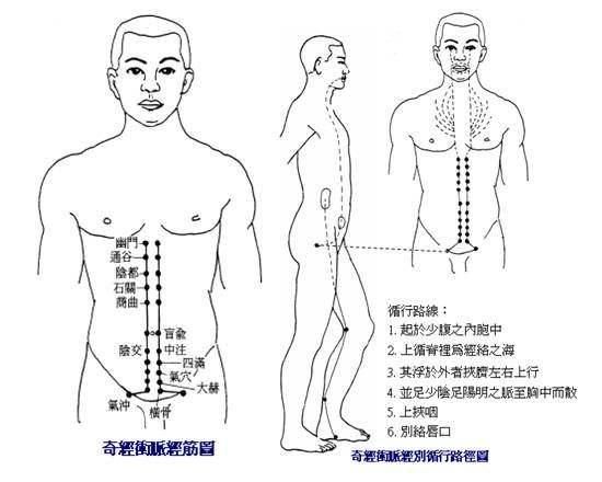 掌握经络养生的秘密之:十二经脉之海冲脉