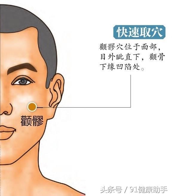 穴位养生|眼皮跳眼部疾病、上颌牙痛、颊肿面