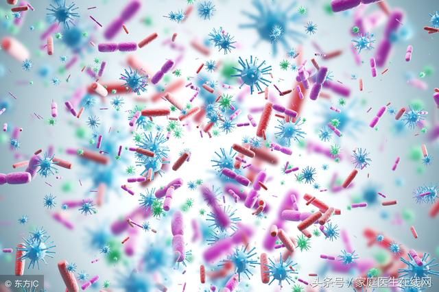 人体哪个部位细菌最多?不是肠道,而是这个答案
