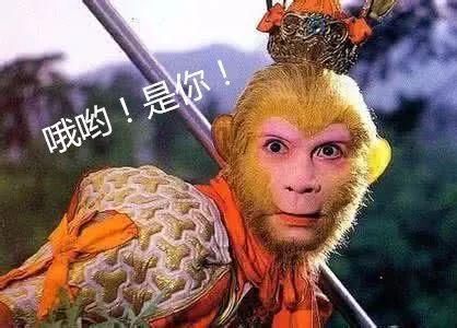 为什么说《西游记》中最厉害的人物是为悟空指路的樵夫?