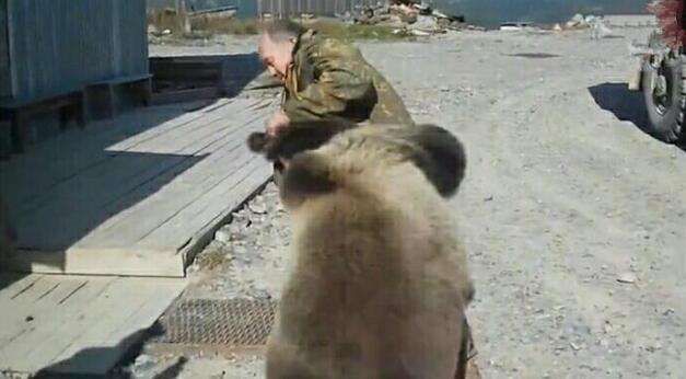 世界上三大怂动物之一俄罗斯的熊