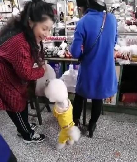 卖东西的阿姨被泰迪缠住了，阿姨:你这样做生意，老板不会骂吗?