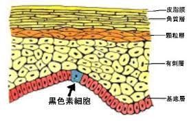 2018年05月07日 - 张艺之 - 张艺之的博客 2018年05月07日 - 张艺之 - 张艺之的博客