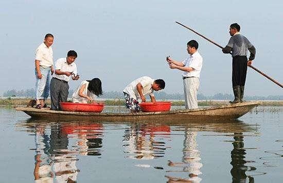 有人提问:小龙虾要怎么营销?