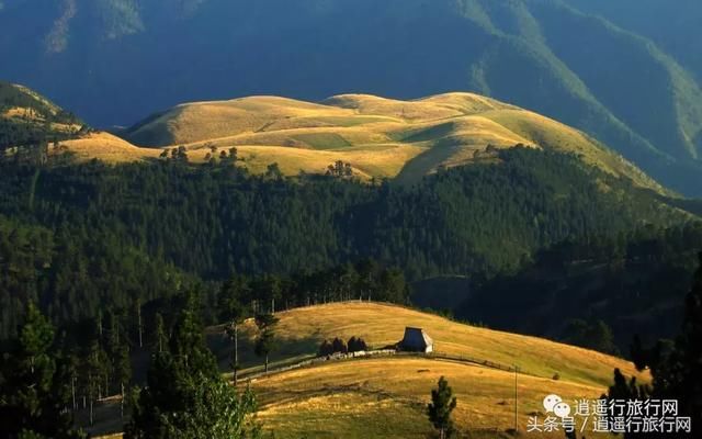 欧洲的火药桶塞尔维亚,这儿有枪,有炮,更有玫