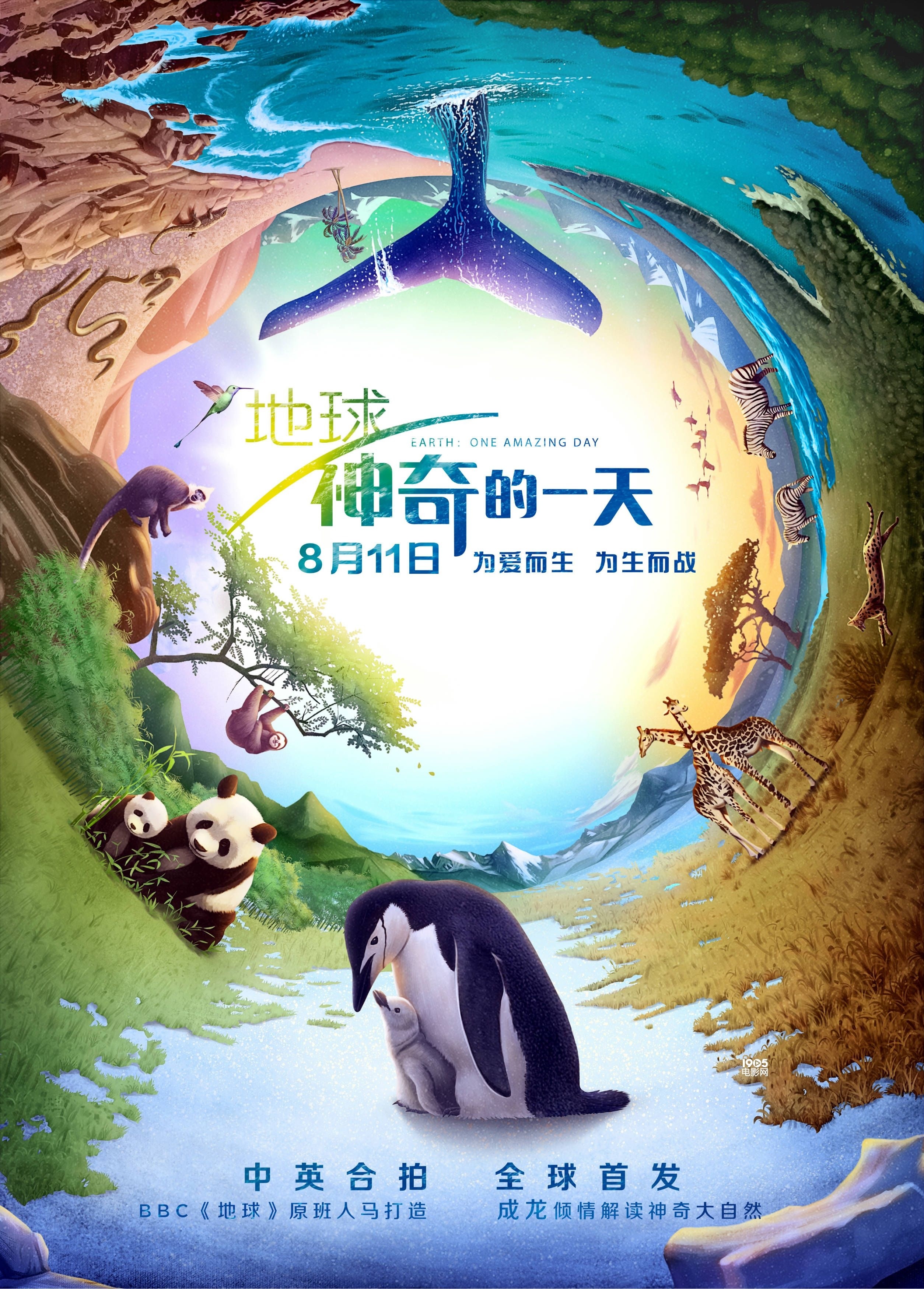 成龍配音紀錄片《地球:神奇的一天》定檔8.11