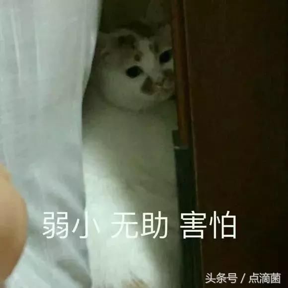雷霆队2025阵容名单篮球俱乐部训练2024nba常规赛排名国际排坛转会微博