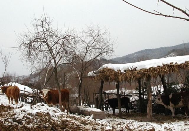 空调正在运行中,突然停止工作,你知道这是什么