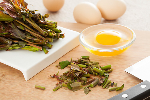 吃野菜养身？搞不好你是在服毒