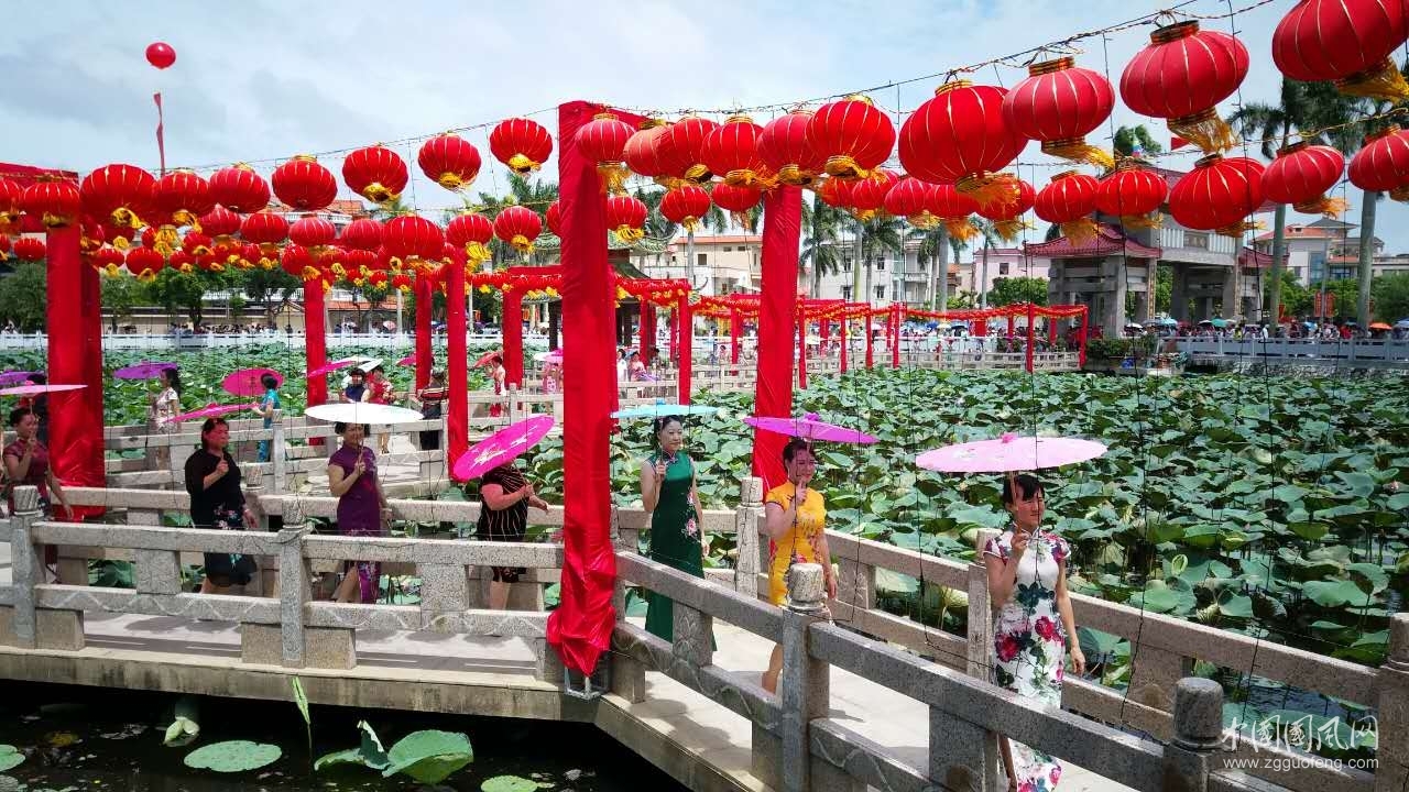 《望海潮》 吴川吴阳蛤岭村首届荷花节有感(文/培禄堂)
