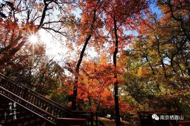 【乘高鐵 賞美景】南京棲霞山,