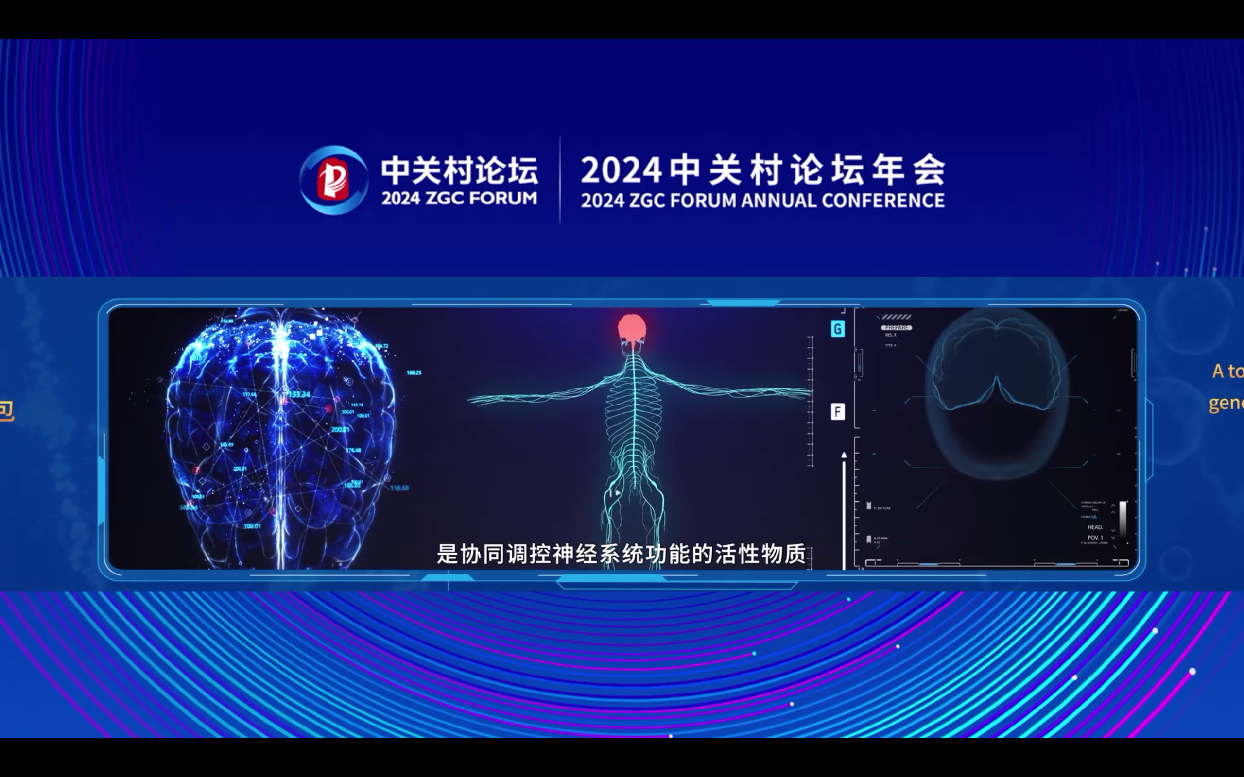 ​破译大脑密码的钥匙——通用型神经肽荧光探针工具包