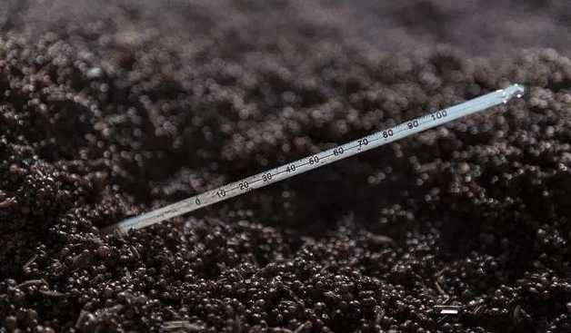 为什么白酒不会结冰呢? 知道这些白酒小知识,