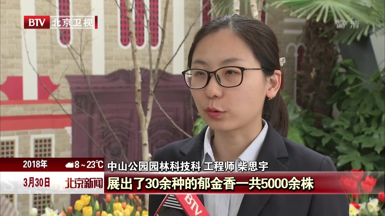 北京:中山公园展出珍品“国泰”郁金香 北京:中山公园展出珍品“国泰”郁金香