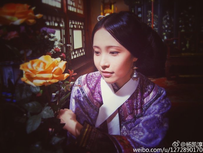 《甄嬛传》之前,杨凯淳曾在《倾世皇妃》中饰演丫鬟云珠,而当时她参演
