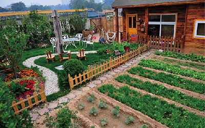 财富故事 打造家庭小菜园