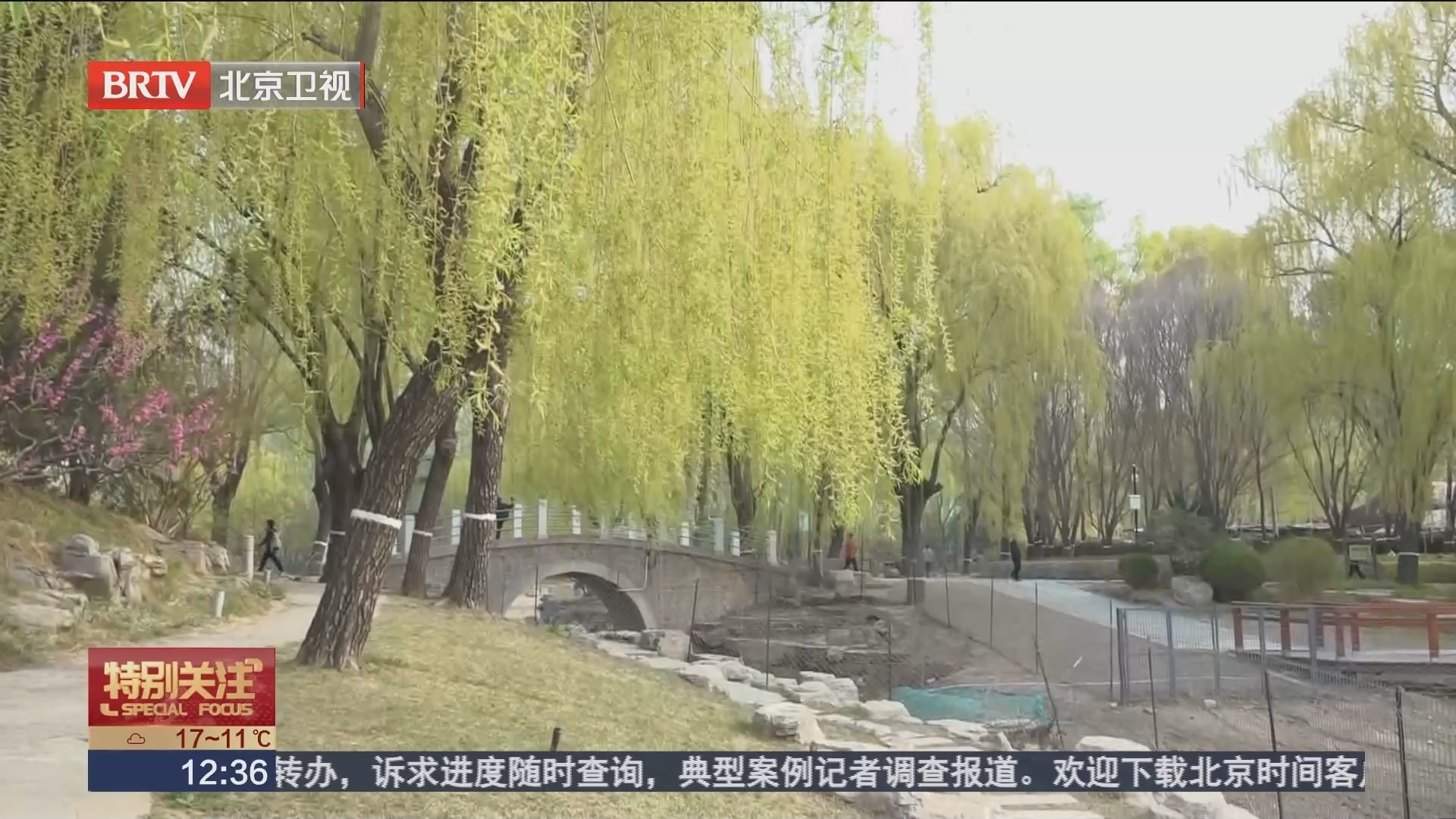 柳荫公园第14届柳文化节今天开幕_北京时间
