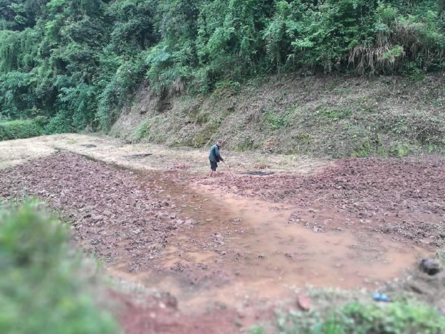 2018年农村养老金有五大变化,这几类人将拿到