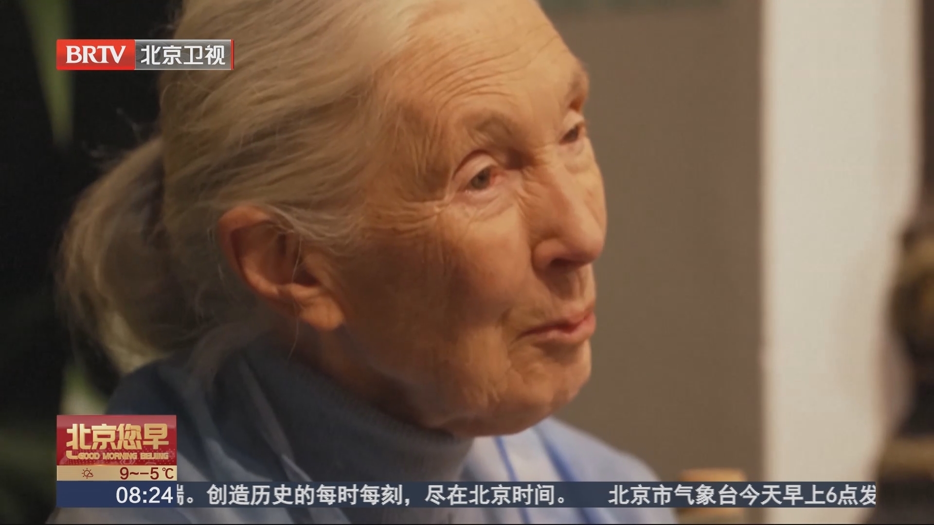 珍·古道尔蜡像亮相法国巴黎_北京时间