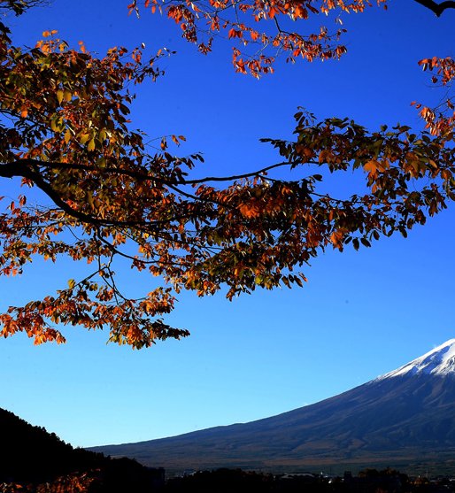 嫂子到日本旅游,把富士山的照片发朋友圈,亲戚