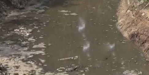 环保来临,农村小型养殖场被关闭之后该何去何