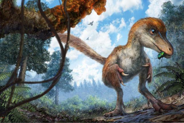 琥珀汇视角:出大事了,琥珀中发现恐龙!