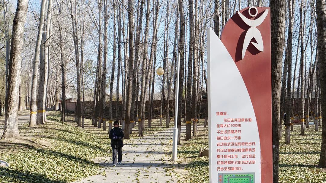 一个村名一个故事（之四十六）唐自头村